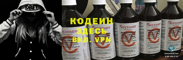 apvp Кодинск