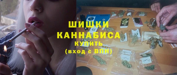 apvp Козельск