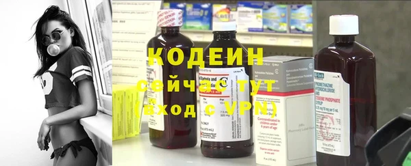 apvp Козельск