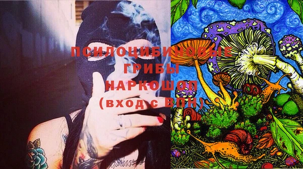 apvp Кодинск